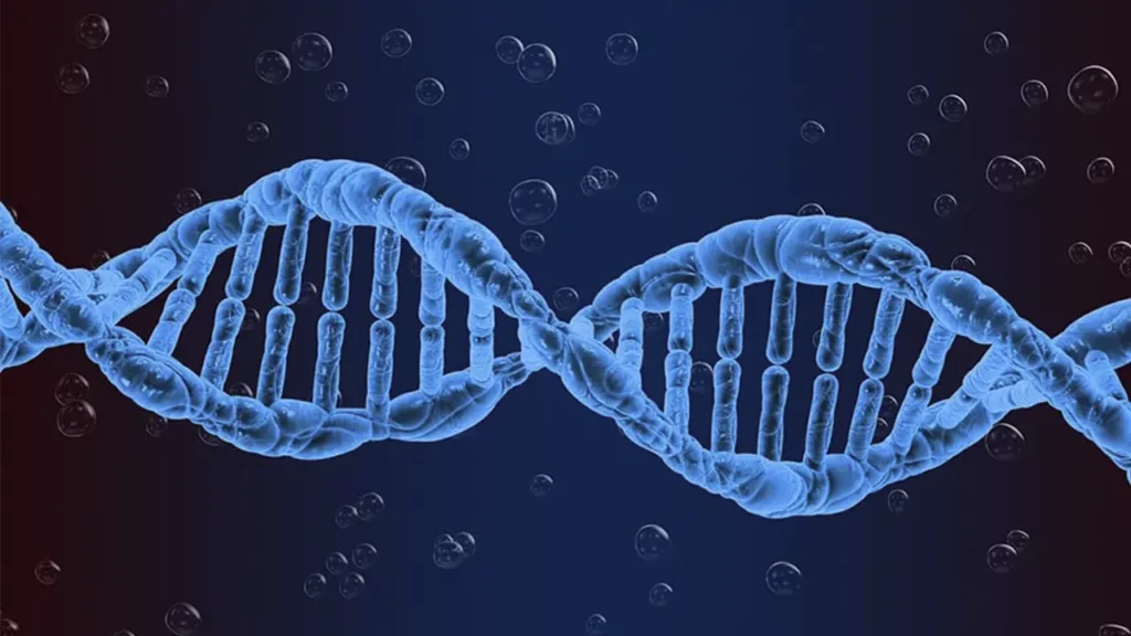 Schematic illustration of the role of genetics in childhood obesity