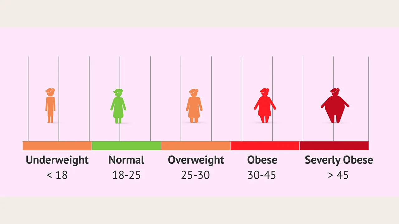 Picture showing body mass index